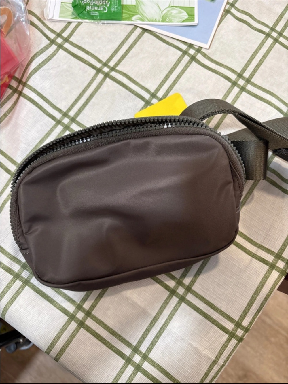 Quince Brown Compact Belt Bag
